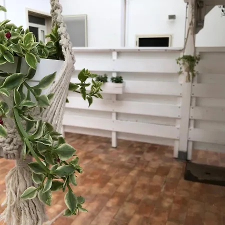 Casa Sally ナルド