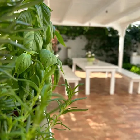 Casa Sally Nardò