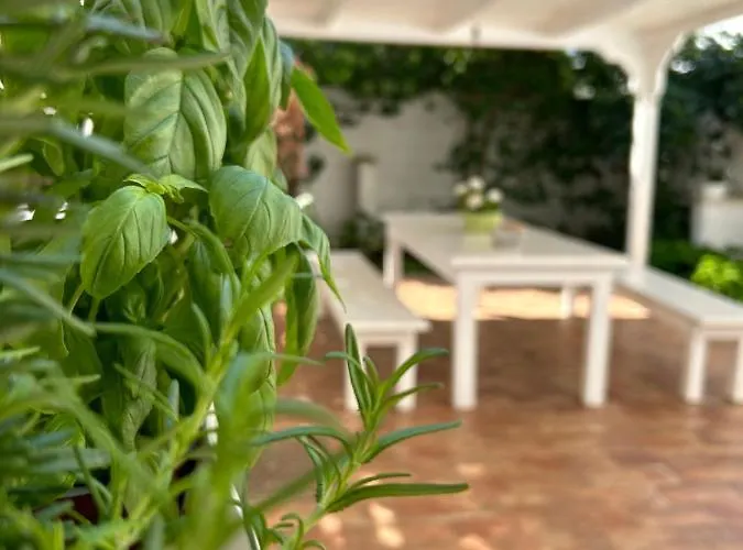 Casa Sally Нардо